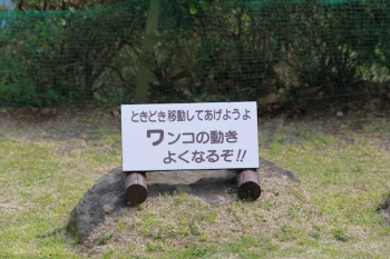 移動しよう!