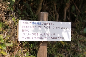 早朝予約できます