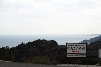 海が見えるドッグラン