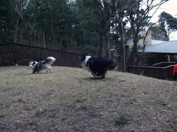 うほほ!