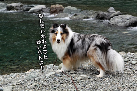 断固拒否!