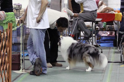 打ち合わせ中。