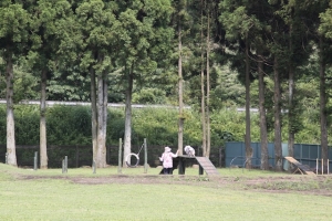 リベンジ!
