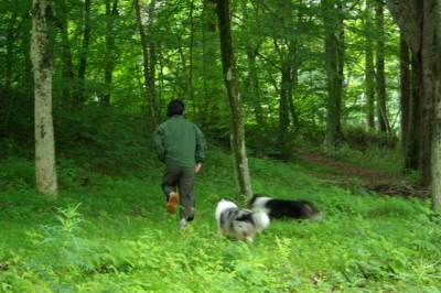 山に帰る面々