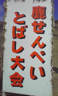 100123_1304~01.jpg