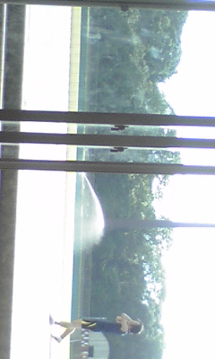 100727_1541~01.jpg
