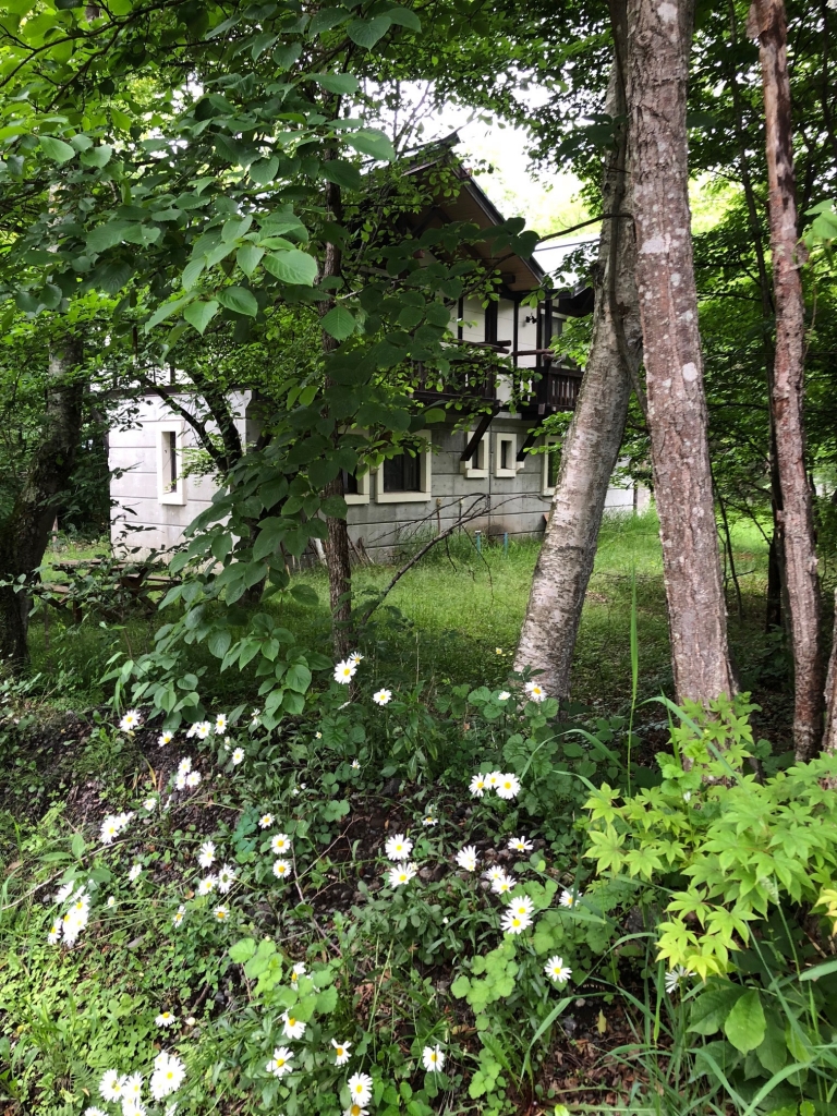 house1