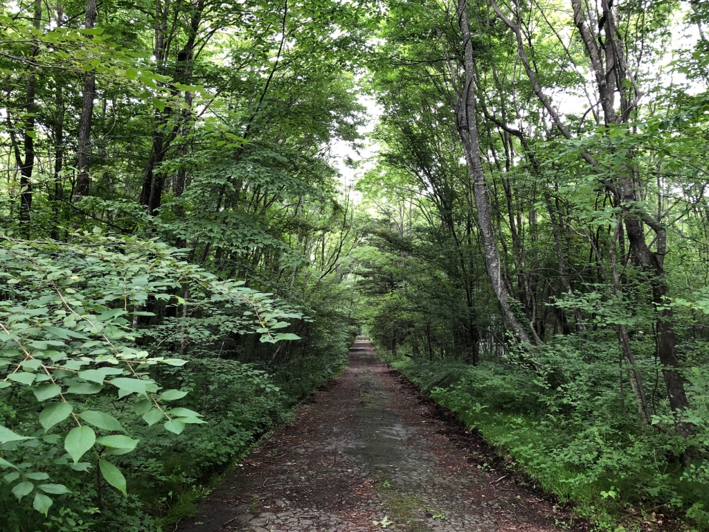 road