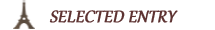 blog_shop_selected.png