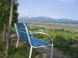 裏庭からの景色(十勝岳連邦)です