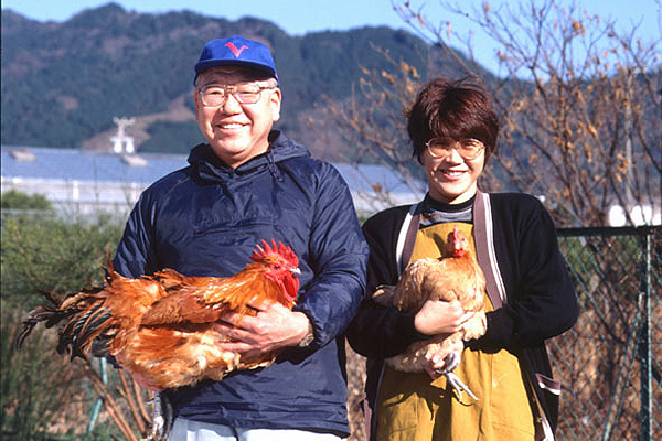 地鶏の王様 名古屋コーチン
