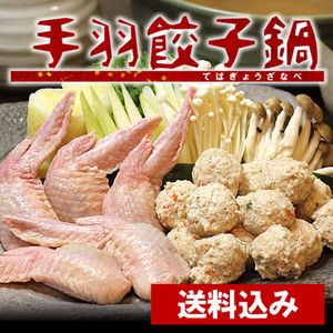 手羽先餃子鍋セット