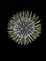 花火1尺玉1