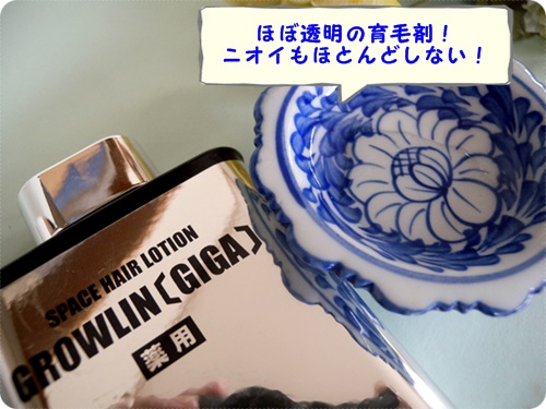 500グローリンギガ皿に文字.JPG