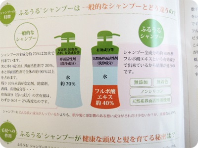 400ふるうるパンフ.JPG