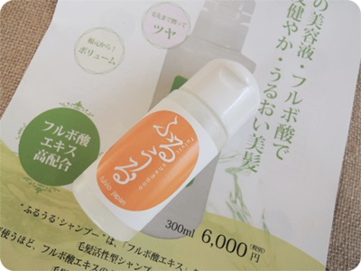 400ふるうるパンフと.JPG