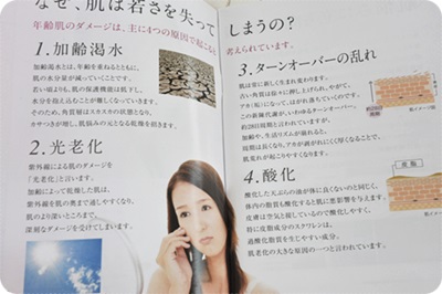 400フラバンジェノールパンフ老化4つの理由.JPG