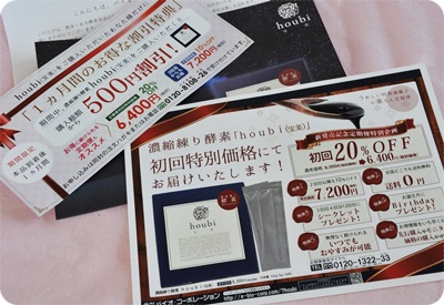 400houbiパンフ割引関連.JPG