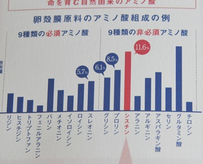 400卵殻膜のアミノ酸.JPG