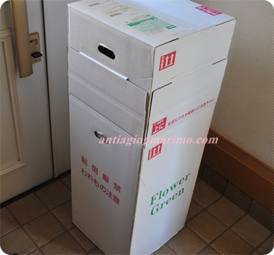 400こv抱卵ダンボール.JPG