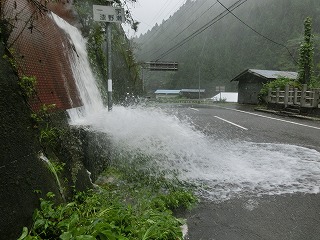 おおあめ