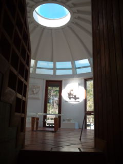 F1001029.jpg