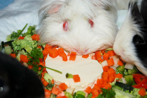 お豆腐美味しいよ