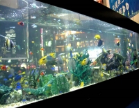 Sony Aquarium 2007
