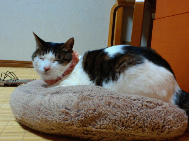2011010601230000.jpg