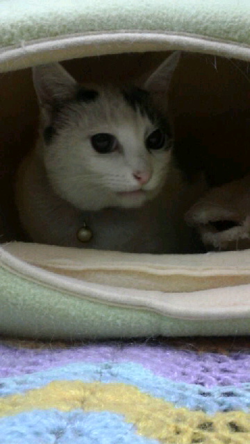 2017111411100000.jpg