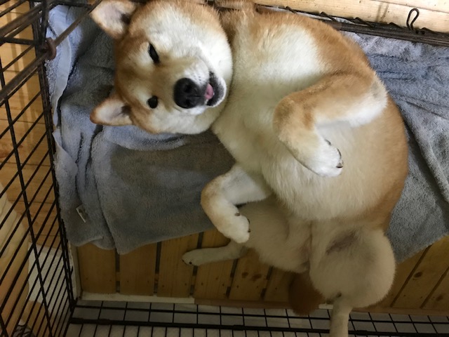 image1.jpeg