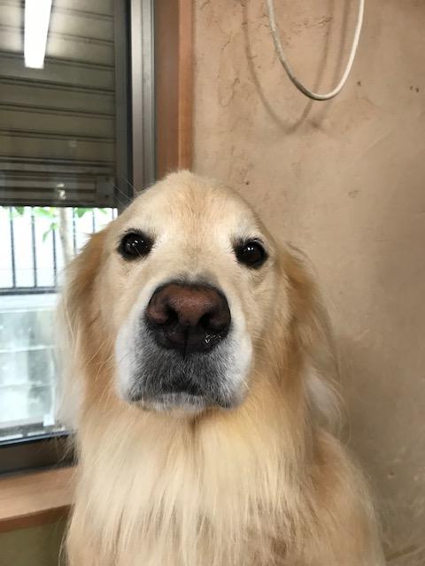 image1.jpeg