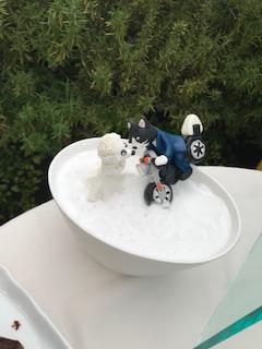 image1.jpeg