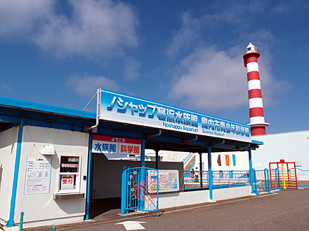 ノシャップ寒流水族館と灯台