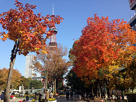 紅葉の大通公園とテレビ塔