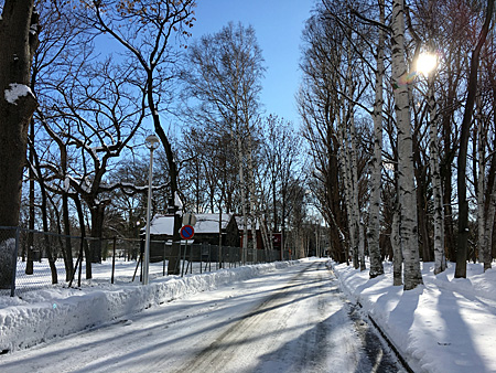 北大構内 雪の積もった道