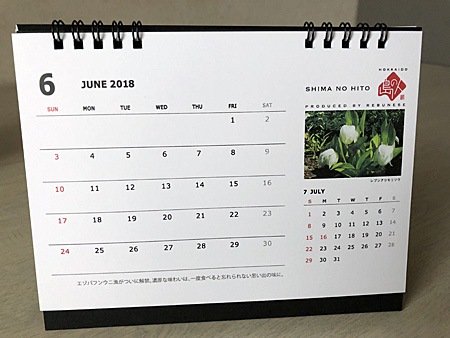 6月のカレンダー 写真はレブンアツモリソウ