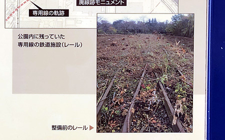 廃線跡の線路の写真