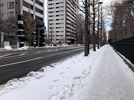白い歩道と乾いている車道