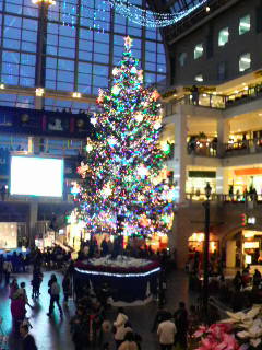 2008122516070000.jpg