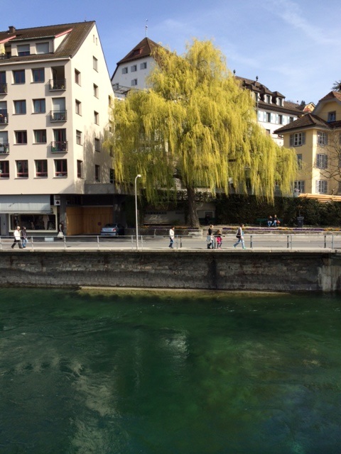 174.JPG