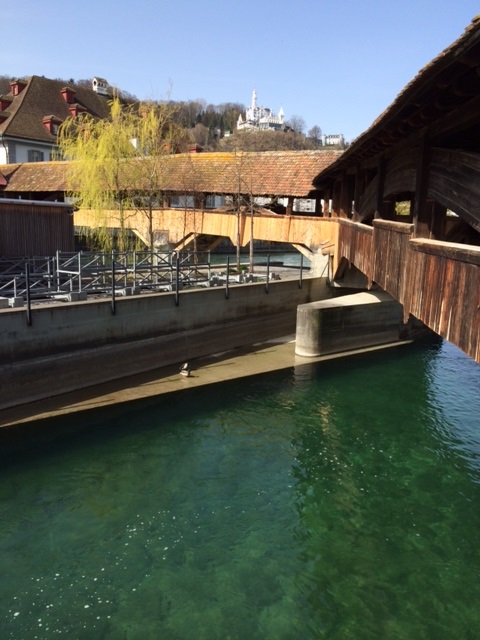 179.JPG