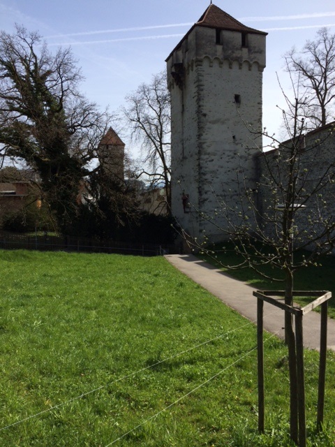 199.JPG