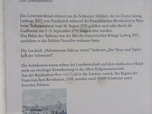 243.JPG
