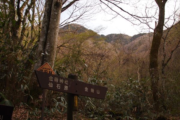 P4286653_R.JPG