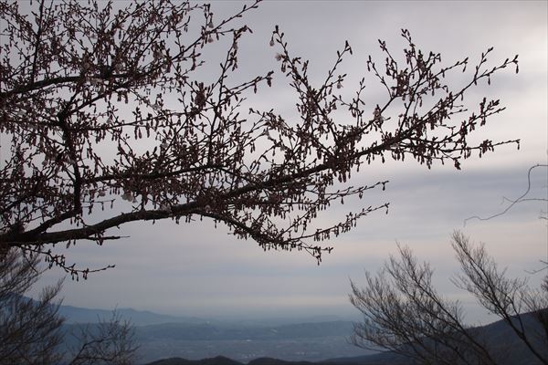 P4286694_R.JPG