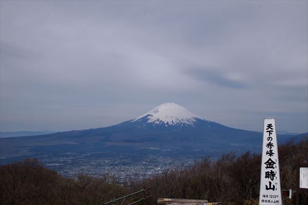P4286705_R.JPG