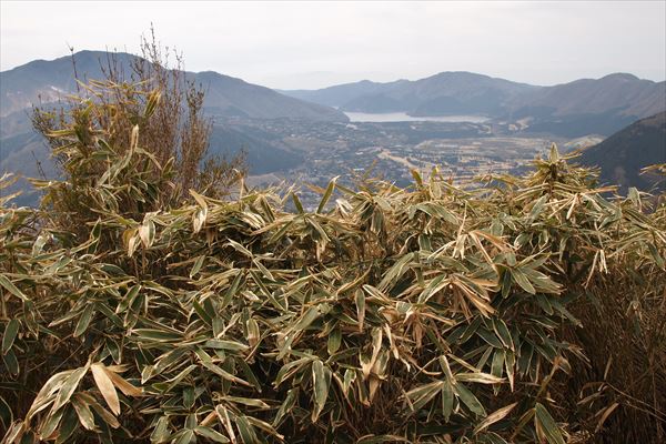 P4286726_R.JPG