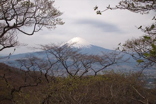 P4286733_R.JPG
