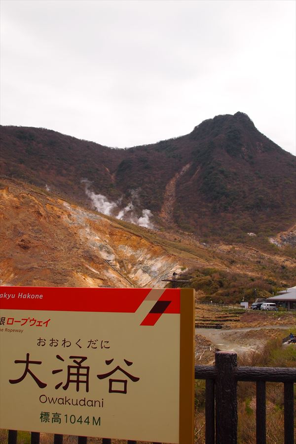 P4286776_R.JPG